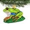 Old World Christmas 2.25 In Red-Eyed Tree Frog Tree Ornament , Superpower Of Nature
